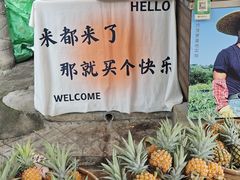 -三溪村