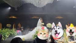 -格乐利雅婚礼艺术中心(南外滩店)