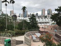 -九龙公园