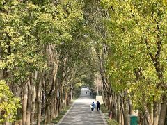 -同里国家湿地公园