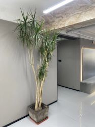 -宫铭烫发染发接发店
