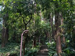 -南岗山公园