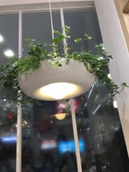 点击看大图 -悦诗风吟innisfree