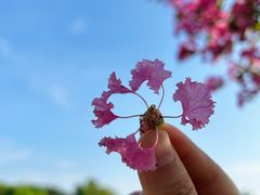 -昆山城市生态森林公园