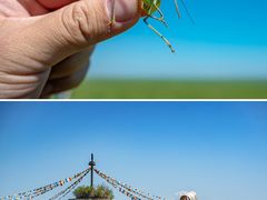 -呼和诺尔旅游景区