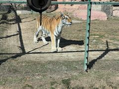 -鄂尔多斯野生动物园