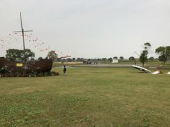 -上海都市菜园
