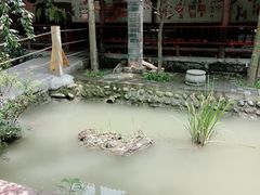-水岸庭院·乡村柴火鸡