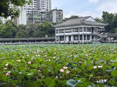 -荔湾湖公园
