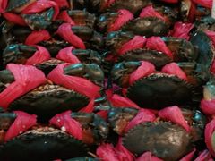 -青石桥市场北1-27号