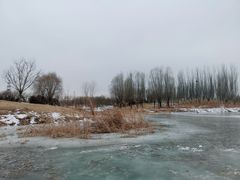 -马家湾湿地公园