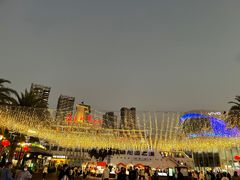 -润园四季椰子鸡火锅(海上世界店)