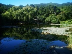 -香山公园
