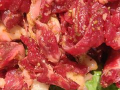 -马晓马佳牛羊肉(新合路店)