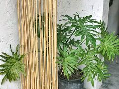 -云里小坐·小院里·团建·宴请·下午茶(三圣乡店)