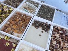 -东戴河风景区-止锚湾