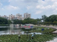 -新江湾城公园