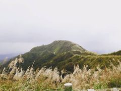 -不厌亭