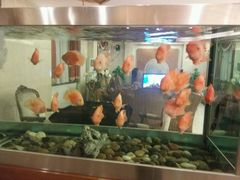 android_upload_pic-旺顺阁海鲜广场(亚运村店)