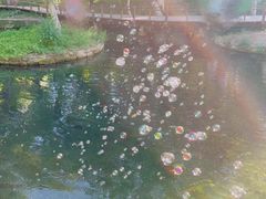 -水磨沟公园