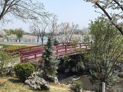 -羊山湖公园