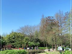 -上海滨江森林公园