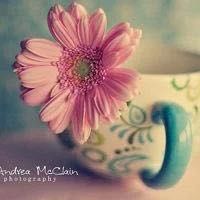 -北门饭店(三香路店)