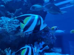 -成都浩海立方海洋公园