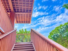 -银湖山郊野公园-相思林