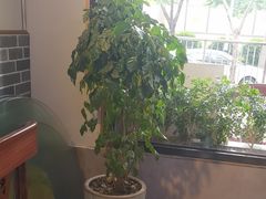 -闽公馆·客家私房菜·商务宴请·包厢(杏林橡树湾店)