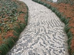 -瀛洲公园