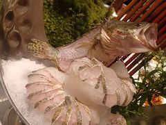 -外滩·云南人家(昆明旗舰店)