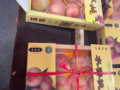 -南汇水蜜桃采摘(大团店)