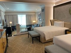 -澳门威尼斯人综合度假区