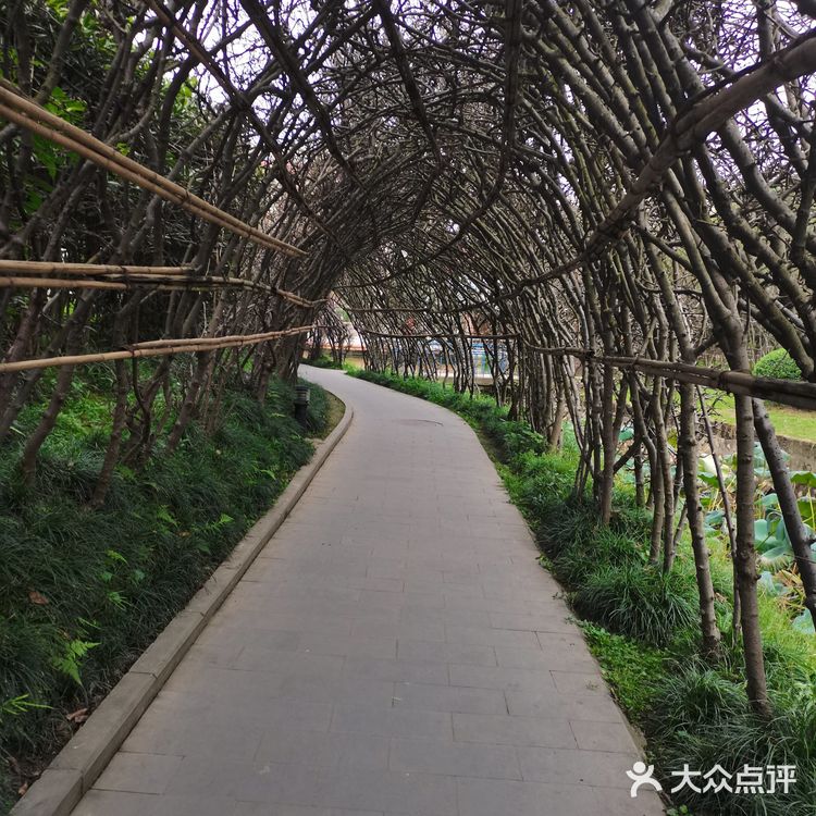 彭州园