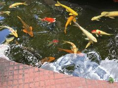 -侠成水上农庄(工业大道店)