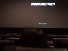 -新影联·华谊兄弟影院(望京店)