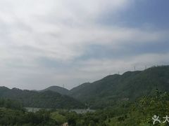-田心森林公园