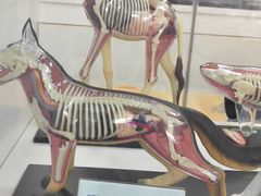 -斯坦星球AI编程·机器人科创·科学实验·信奥·思维·STEM·乐高·竞赛考级(长宁虹桥大融城荟聚中心)