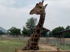 -西安秦岭野生动物园