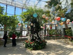 -北京植物园-展览温室