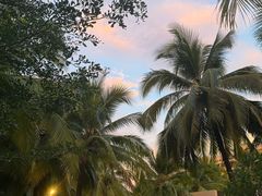 -三亚海棠湾喜来登度假酒店