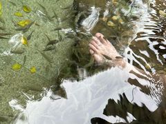 -罗浮山嘉宝田森林温泉度假酒店