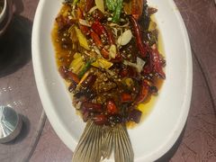 炝锅鱼-镜泊湖酒家(兴华街金鼎店)