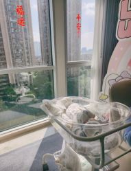 -大美母婴月子中心(希尔顿店)