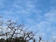 -燕晗山郊野公园