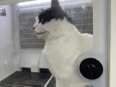 -艾贝尔宠物医院 ·中兽医·宠保定点(北门桥店)