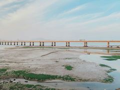 -海堤纪念公园