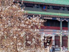 -国家图书馆·古籍馆