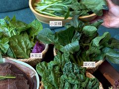 -大龙燚·旷野鲜火锅(广州首店)